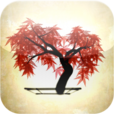 【iBonsai】「和」の雰囲気を堪能しよう♫ ランダムに描かれる盆栽を様々な角度から楽しめるアプリ。