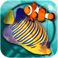 【MyReef 3D Aquarium】3つの水槽で好きな熱帯魚を飼おう！リアルで綺麗な魚たちを眺めて楽しむアプリ。