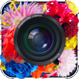 【cameran 蜷川実花監修カメラアプリ】華やかで幻想的なフィルターが満載のカメラアプリ。素敵な壁紙もゲットできる！