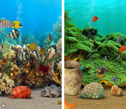 美しすぎる ひらひらと泳ぐ熱帯魚を眺められるバーチャル水槽アプリ Myreef 3d Aquarium 2 Hd